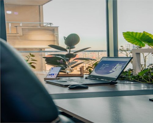 A modern Indian office setup with a plant on the desk